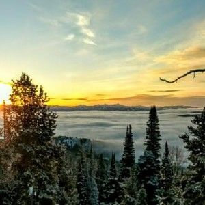 Meet your Posher, Charli